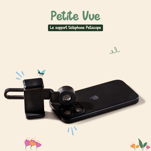 Petite Vue