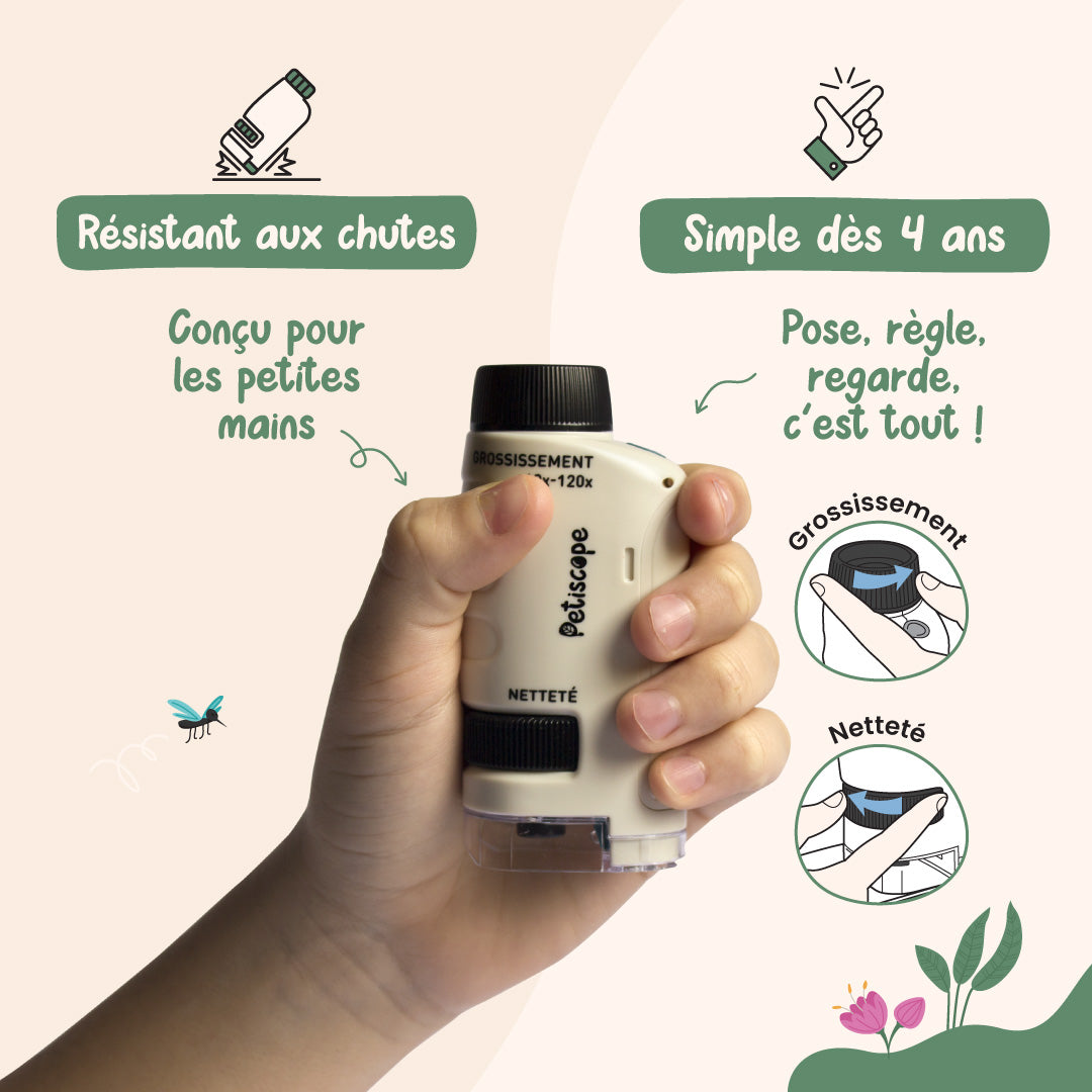 Le Petiscope