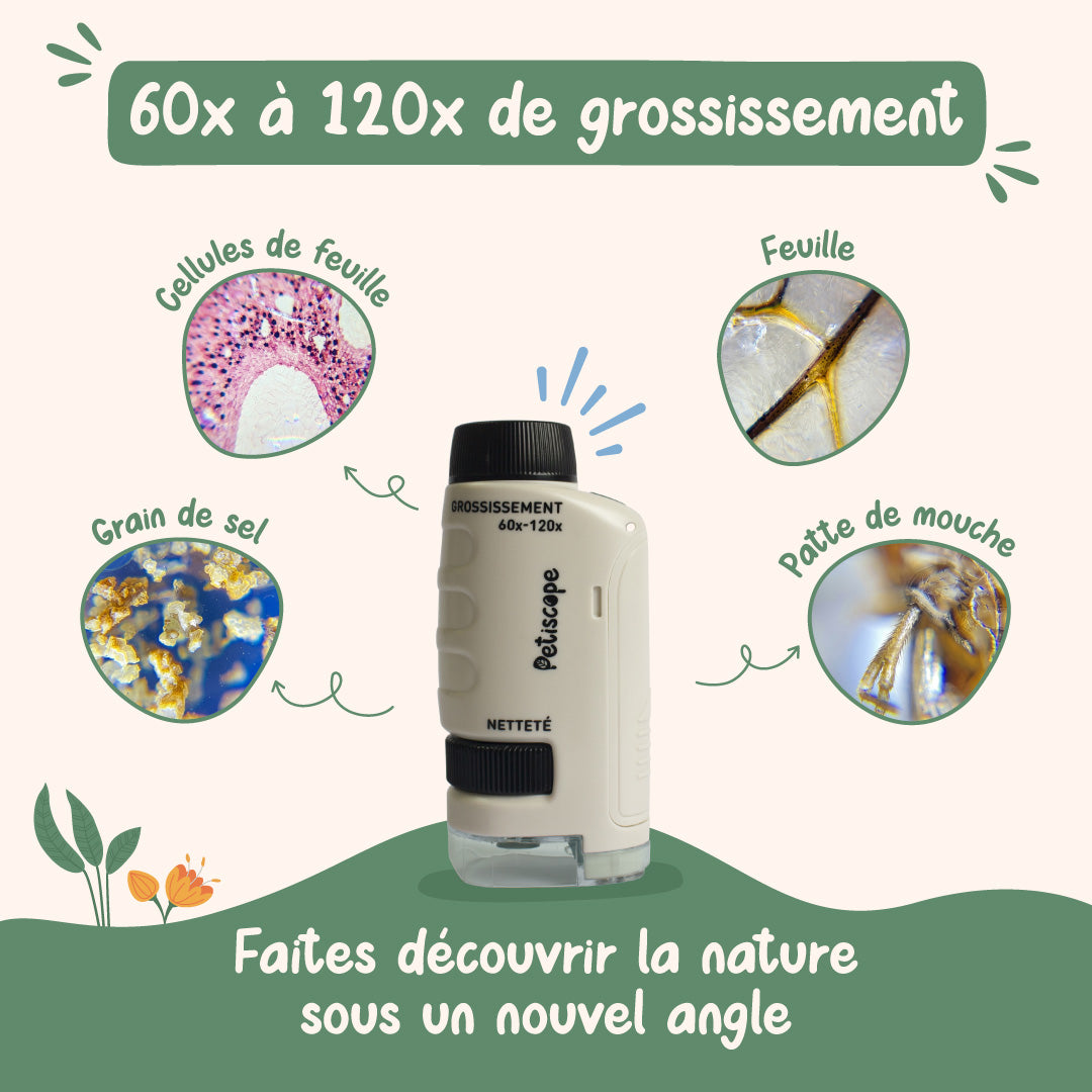 Le Petiscope